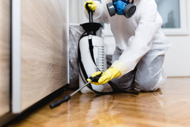 Best Rat Extermination Near Me  in Roessleville, NY