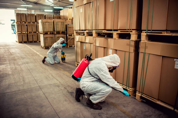 Pest Prevention Services in Roessleville, NY