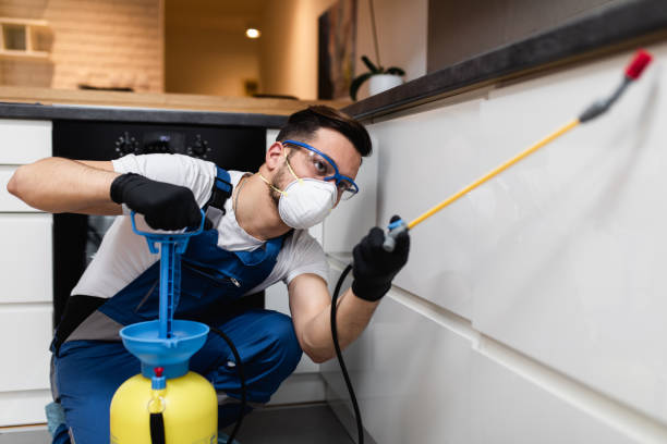 Best Local Pest Control Services  in Roessleville, NY
