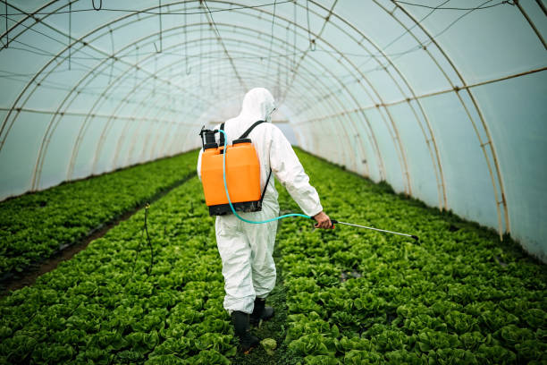 Best Pest Inspection Near Me  in Roessleville, NY