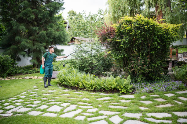 Best Pest Control Near Me  in Roessleville, NY