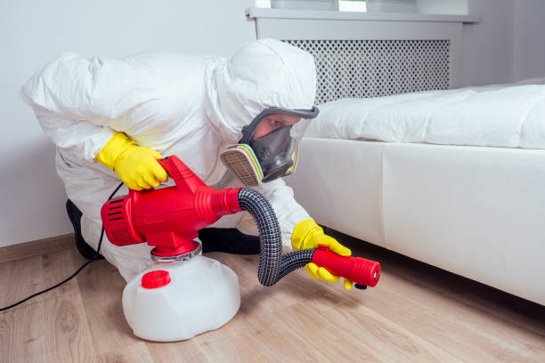 Best Pest Control Near Me  in Roessleville, NY