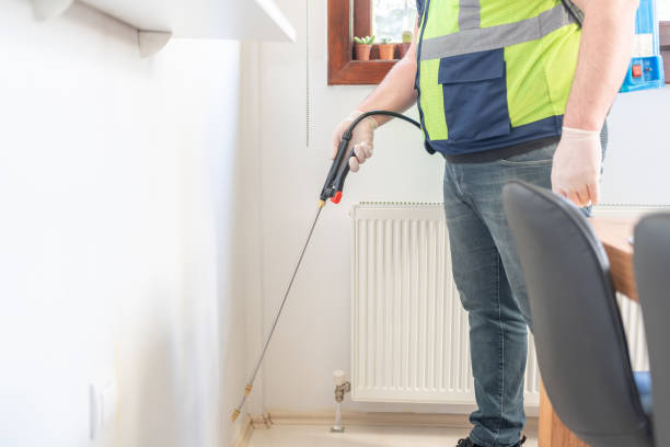 Best Wasp Removal Services  in Roessleville, NY
