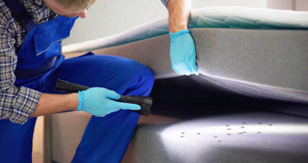 Best Cockroach Control Services  in Roessleville, NY