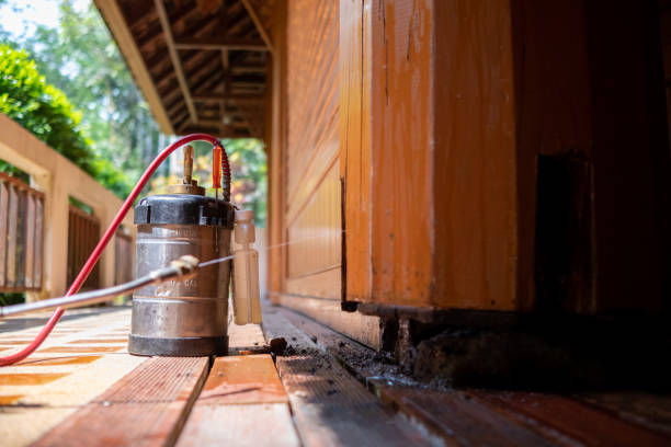Best Affordable Pest Control Services  in Roessleville, NY
