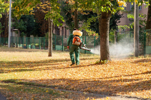 Best Emergency Pest Control  in Roessleville, NY