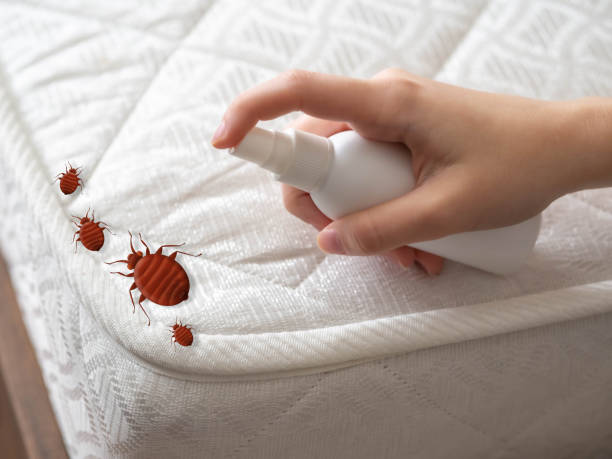 Best Affordable Exterminators  in Roessleville, NY