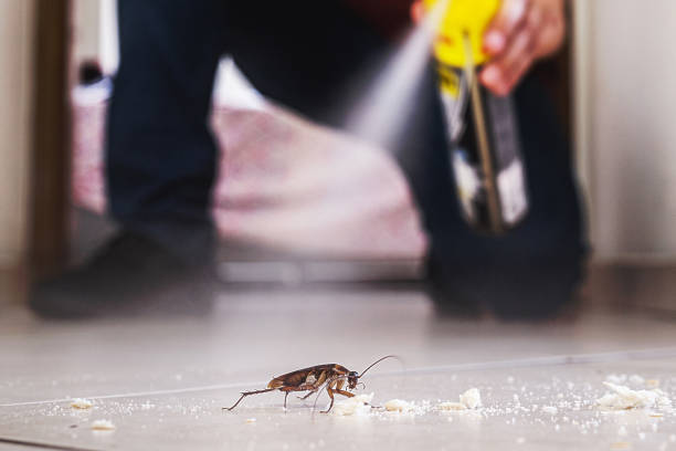 Pest Control Cost in Roessleville, NY
