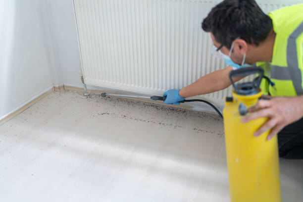 Best Pest Removal Services  in Roessleville, NY
